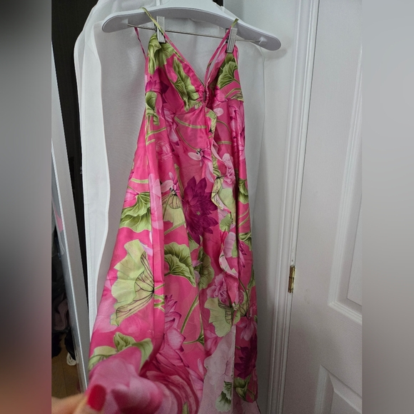 Rocco Sand Ren Silk High Low Dress - Picture 4 of 5